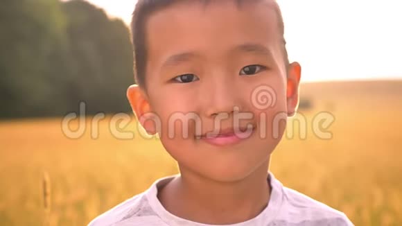 乡村麦田阳光下快乐的亚洲孩子画像周围的光辉氛围视频的预览图
