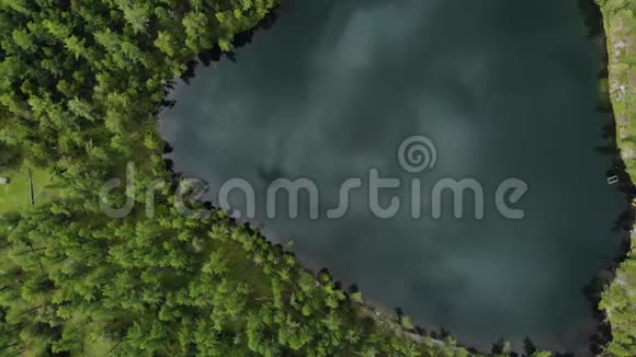 在翠绿色森林湖下飞行阿尔泰视频的预览图