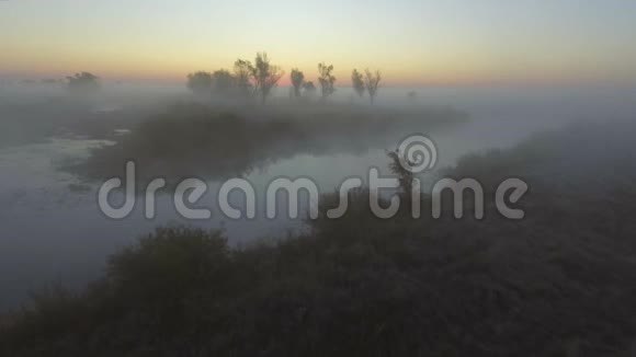 鸟瞰晨雾在河上飞翔森林谷日出景观全景视频的预览图