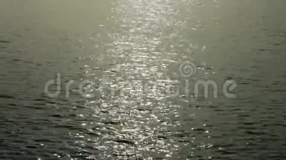黎明前海水泛起涟漪视频的预览图