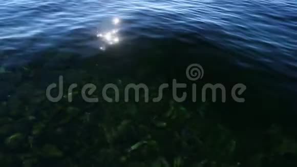 移动透明的水与阳光的眩光视频的预览图
