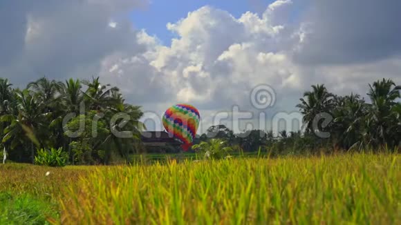 稻田里五颜六色的热气球旅游东南亚概念巴厘岛旅游目的地视频的预览图