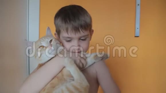 小男孩捡起一只猫和他玩笑着在他脸上做滑稽的鬼脸视频的预览图