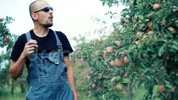 苹果农场主正在收割庄稼视频的预览图