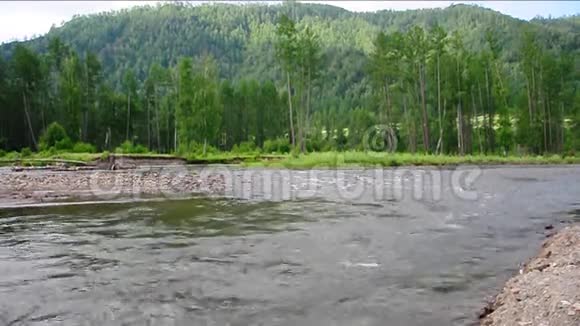 乌尔苏尔山河从山上流入山谷夹在布满森林的石滩上视频的预览图