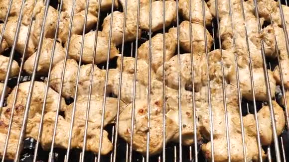 背景鸡肉腌制鱼片烤大公司的烧烤派对视频的预览图
