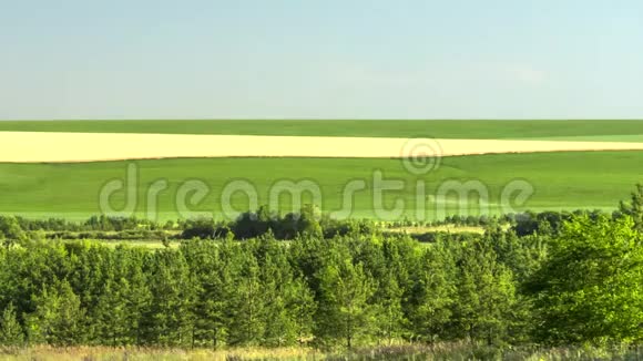 黄色和绿色田野的美丽景色农耕季节正如火如荼地进行着视频的预览图