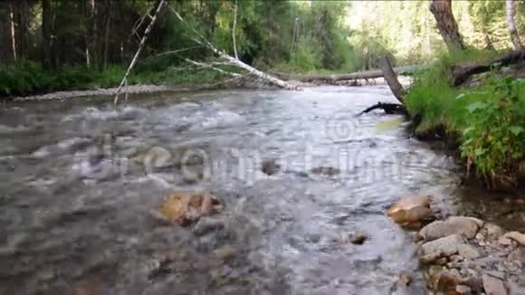 湍急的山河塞马在岩石海岸视频的预览图