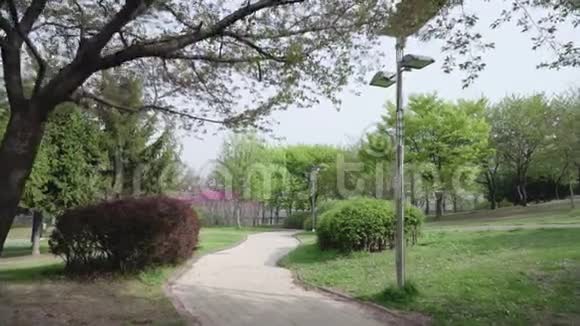生长着红树和鲜花的植物园视频的预览图