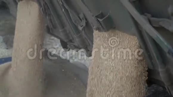 收割的小麦正从卡车里涌出来收起来视频的预览图