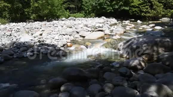 水流过林恩溪视频的预览图