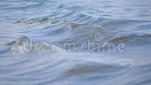 帆船引起的海浪水的流动视频的预览图