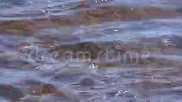 在岩石海的水面上的小波浪视频的预览图