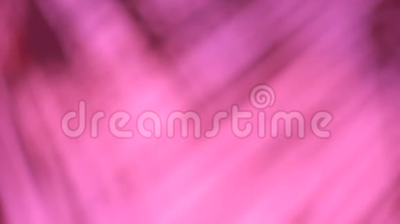 粉红色椰子叶背景的抽象和纹理模糊视频的预览图