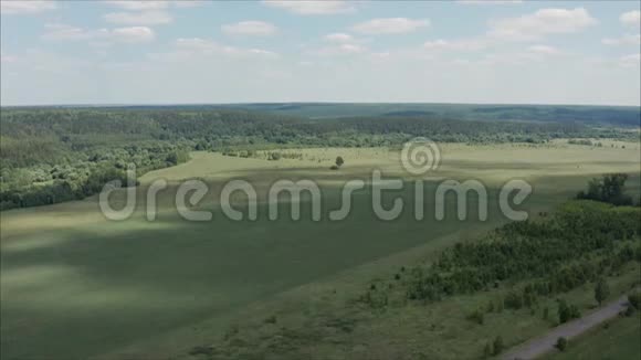 早晨蓝天茶园木台景观景观有庄稼的绿田视频的预览图