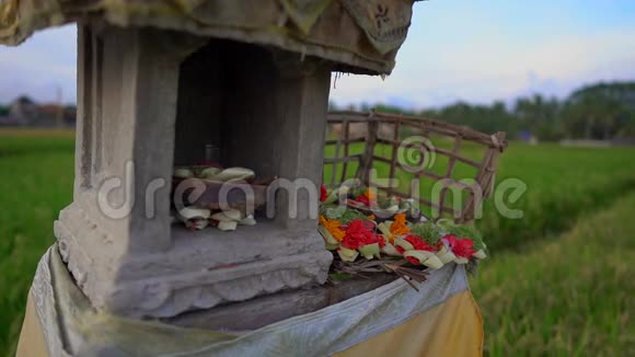 巴厘岛一个大稻田上的一座小庙或一座精神病院的慢镜头视频的预览图