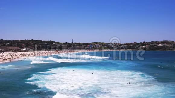 悉尼邦迪海滩冲浪视频的预览图