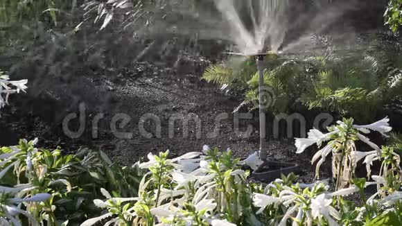 一堆人造雨床上的旋转喷头视频的预览图