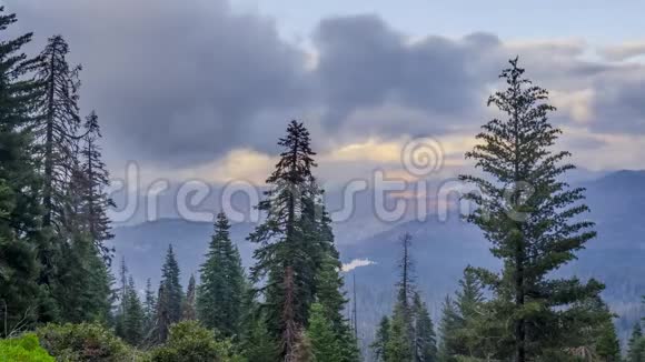 红杉国家公园4K山上云雾缭绕视频的预览图