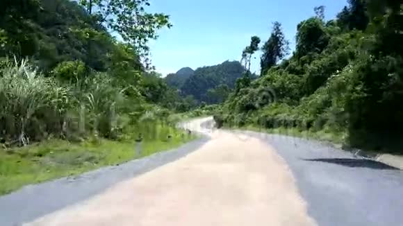 长长的丛林道路绿树旁有黑白两色的树杆视频的预览图