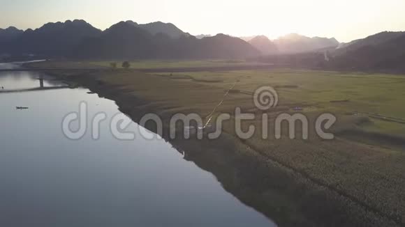 上图阳光明媚照在河边的花生地上视频的预览图