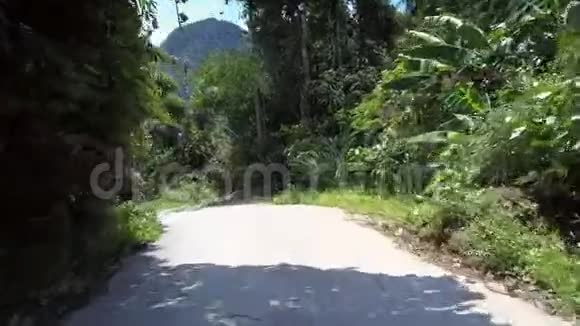 白色的道路穿过绿色的森林大叶随风飘扬视频的预览图