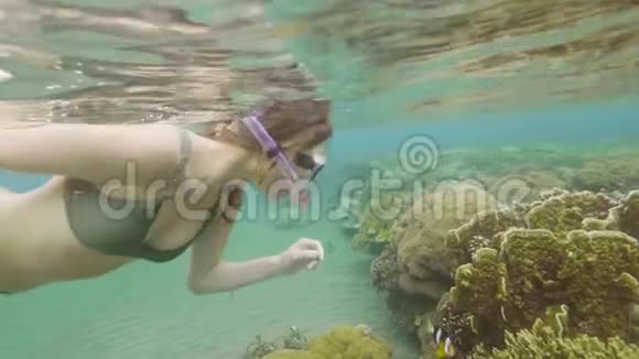 年轻女子带着面具和浮潜在海水中浮潜看着水下世界水下观景妇女视频的预览图