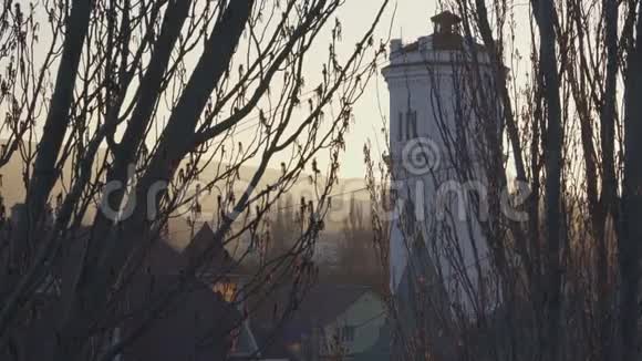 日落时分树后巨大的水塔视频的预览图