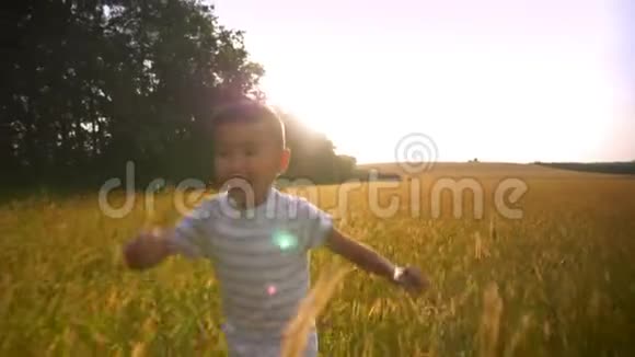爱的亚洲母亲等待着儿子在夕阳下的黄色田野里快乐地奔跑和拥抱视频的预览图