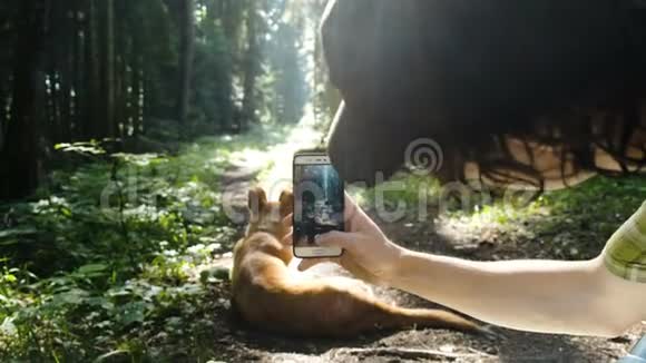 游客在森林里的智能手机上拍摄一只流浪狗的照片视频的预览图