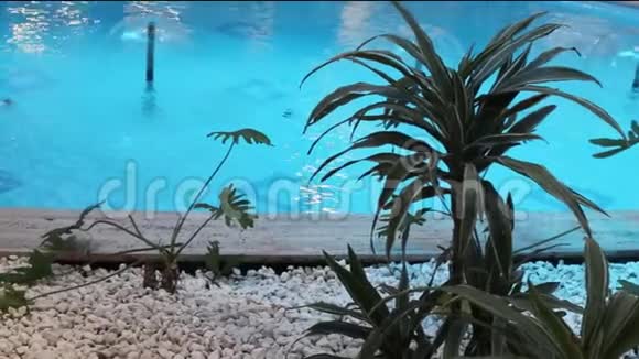 美丽的游泳池景观视频的预览图