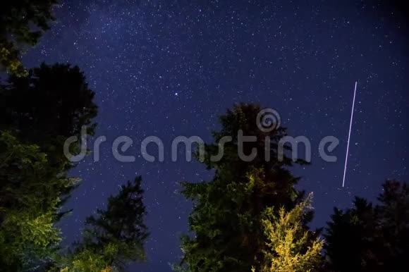 树木之间夜空的时间推移视频的预览图