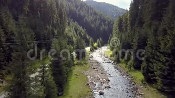 喀尔巴阡山越岭秋云杉树林湖自然山河山视频的预览图