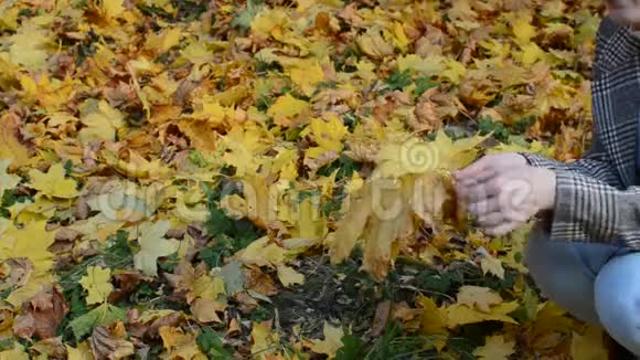 女孩坐在秋天公园里扔黄色的枫叶视频的预览图