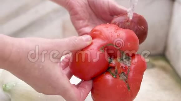 在厨房水槽里洗有机西红柿的女人慢动作视频的预览图