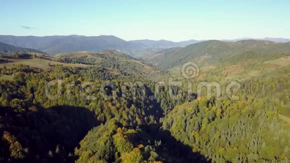 喀尔巴阡山越岭秋云杉林湖泊自然山视频的预览图