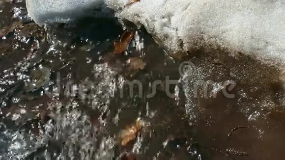 雪在融化春溪融雪视频的预览图