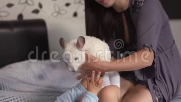 怀孕的母亲和她的小儿子和小鸡鸡动物躺在卧室的床上玩耍玩得很开心亚洲混血儿视频的预览图