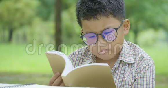 阳光明媚的一天小男孩在公园里看书视频的预览图