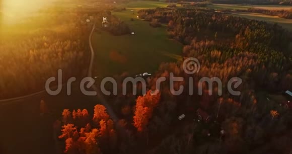 日出时田野和森林的无人机镜头视频的预览图