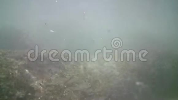 地中海底部有垃圾的脏水视频的预览图