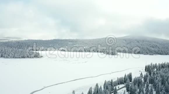 空中景色飞越树木和被白雪森林包围的冰冻湖泊视频的预览图
