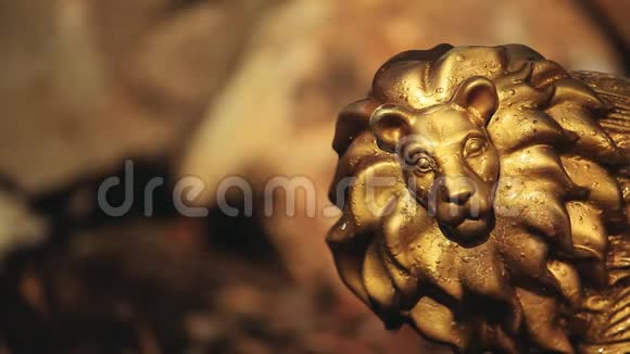 金狮雕像石头背景无人高清镜头视频的预览图