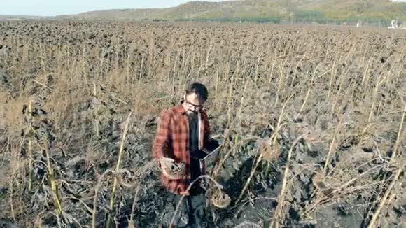 农夫站在一片有枯死植物的田野上受损的作物概念视频的预览图