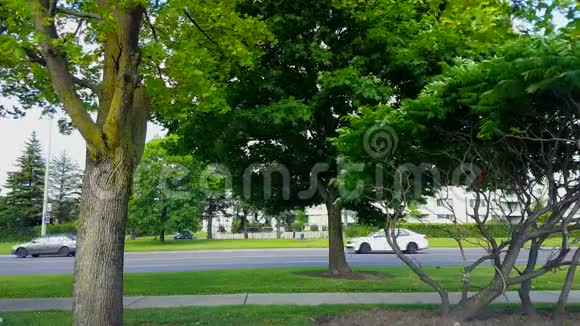 绿树对城市交通驱动和减速的侧视城市景观与汽车开始降低速度视频的预览图