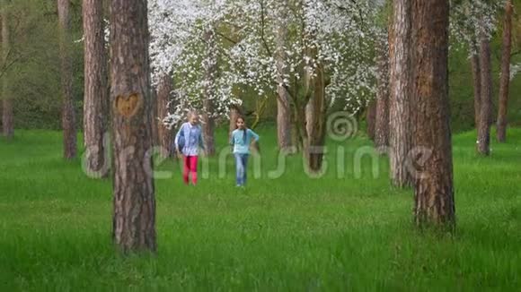 两个很有魅力的小女孩在公园散步十几岁的女朋友手拿着吉他开心地笑着视频的预览图