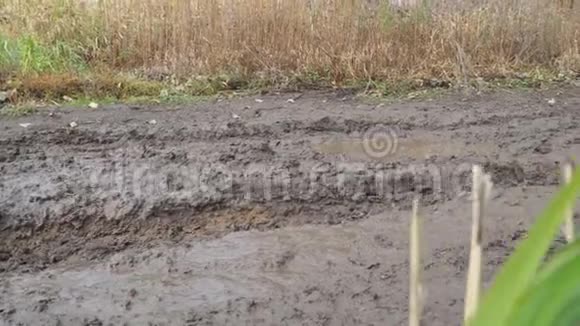 秋天的时候一条滑的不通的泥泞的乡村道路视频的预览图