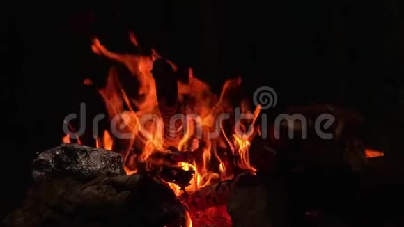 夜晚篝火的火焰视频的预览图