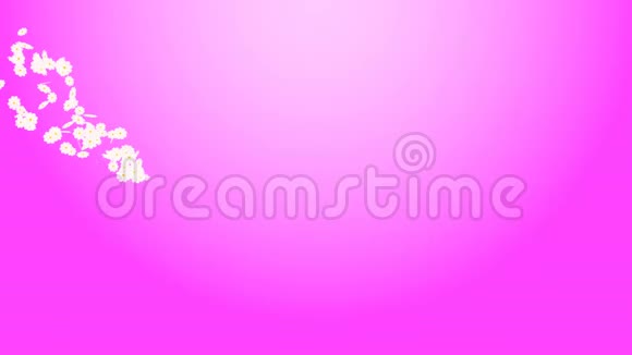 粉红色背景上的飞行雏菊视频的预览图