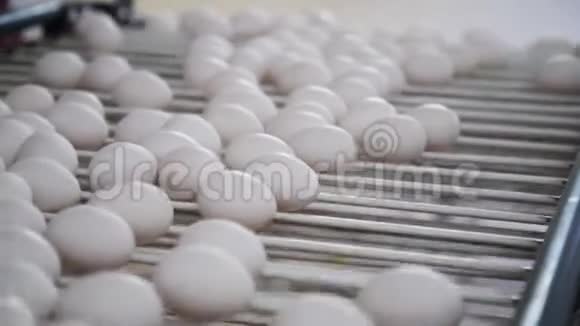 鸡蛋工厂鸡肉鸡蛋包装家禽加工厂视频的预览图